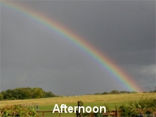 Afternoon rainbows