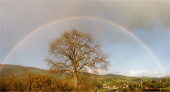 Welsh autumn rainbow
