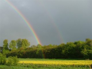 Rainbow ending in a field