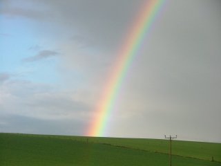 Bright rainbow with polariser
