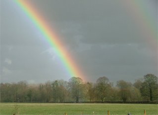 Rainbow with polarising filter aligned
