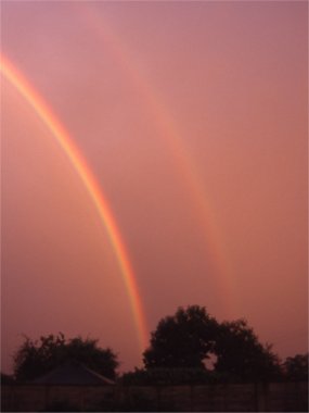 Rainbow and sunset reddened rain