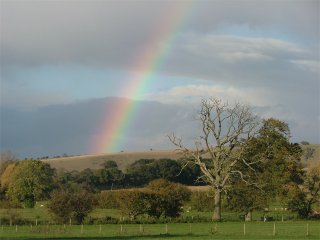 Rainbow over the Marlborough downs