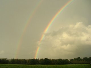 Primary and secondary rainbow