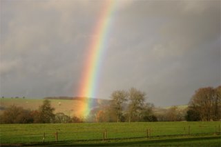 Rainbow ends in a field
