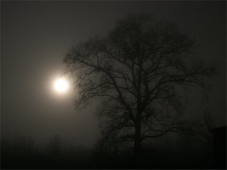 Lunar fog corona