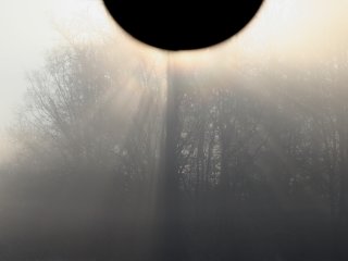 Fog corona with sun hidden