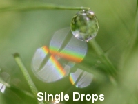Single Drops