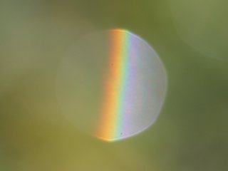 Rainbow from a single drop