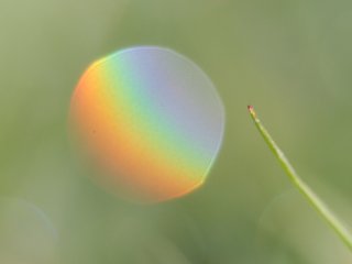 Droplet rainbow