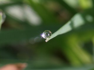 Light refracted through a drop