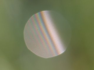 Reflection interference fringes off a water drop