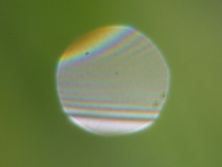Coloured and white fringes reflected from a drop