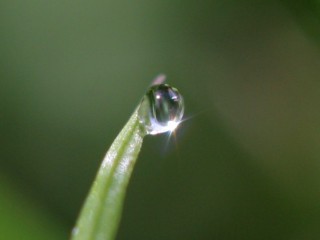 Small slightly distorted drop