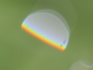Rainbow from an undistorted drop