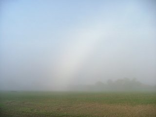 Obvious section of fogbow