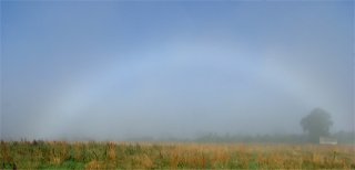 Daytime fogbow