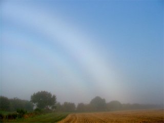 High contrast fogbow with strong supernumerary