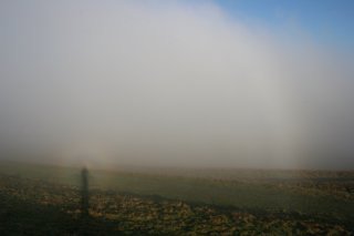Large glory and fogbow