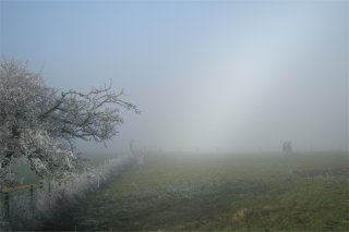 Fogbow and walkers
