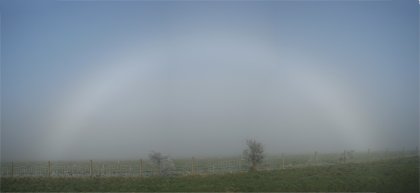 Fogbow with bushes for scale
