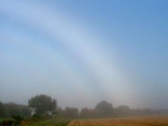 Fogbow polarisation