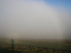 Glory with fogbow