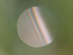 Reflection and interference from a single drop