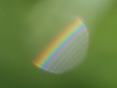 Supernumary arcs in a single drop