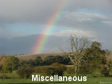 Miscellaneous rainbows