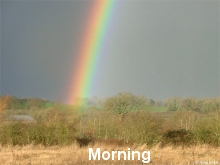 Morning rainbows