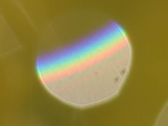 Reversed rainbow colours from a single drop