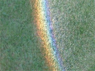 Garden spray drops in a rainbow