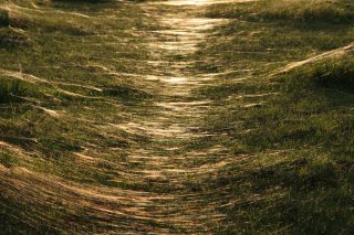 Spider web glitter path