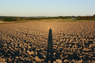 Opposition effect on ploughed soil