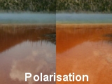 Water and Polarisation