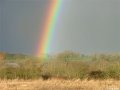 Rainbow - Approaching Rain