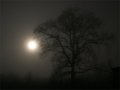 Lunar Corona - Cloud and Fog