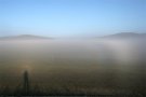 Fogbow Polarisation