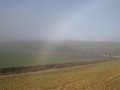 Fogbow Polarisation