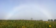 Late Summer Fogbow