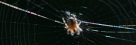 Web Diffraction with Spider